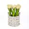 10" Tulip Bouquet in White Basket